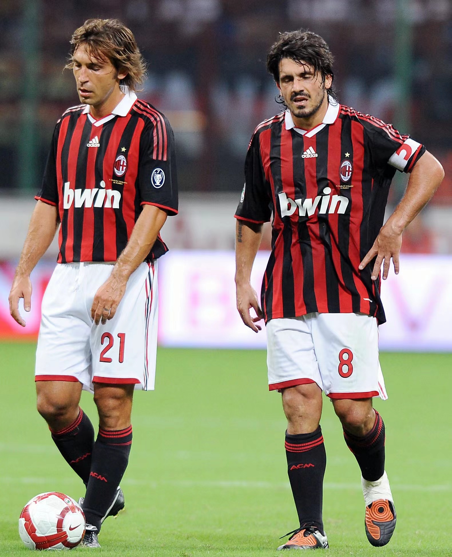 关键小龙 关键小龙